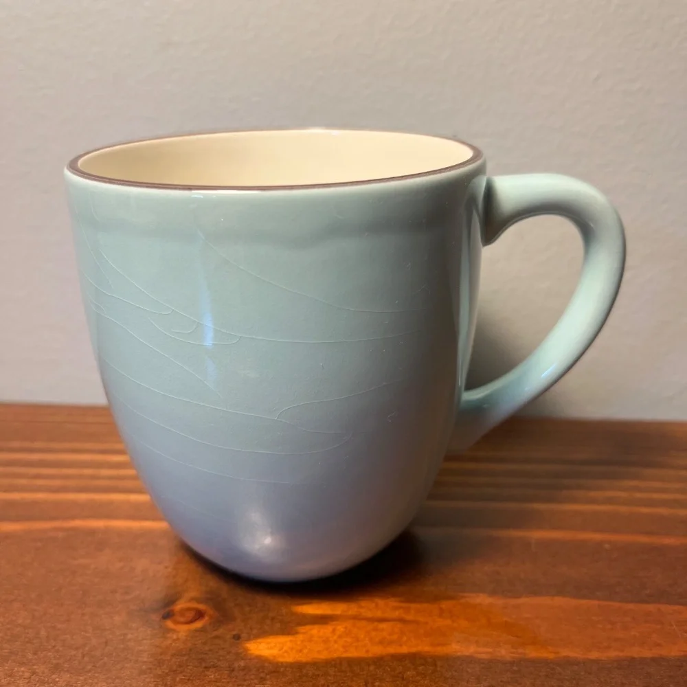 Crate & Barrel Audrey Coffee Mugs – Set of 4 (Robin’s Egg Blue)